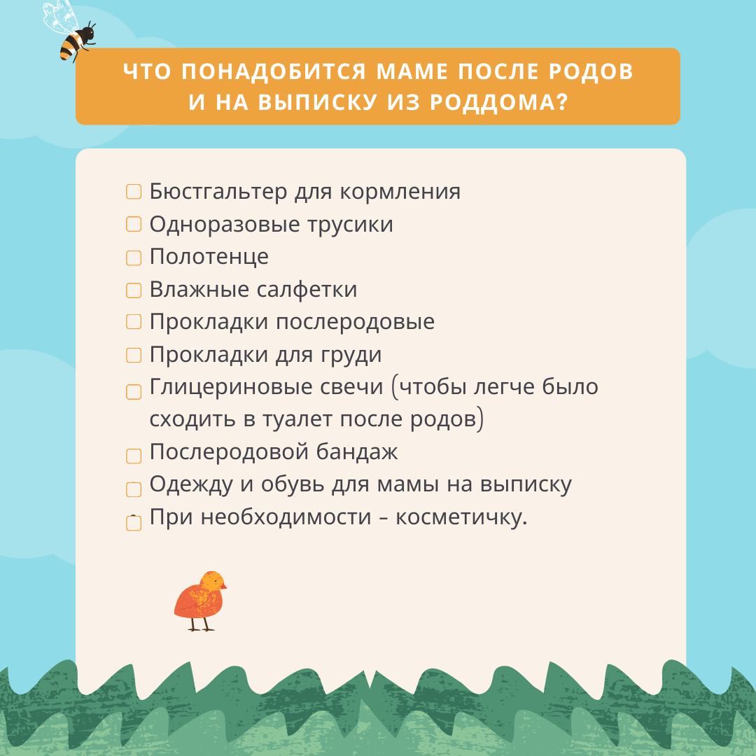 Сумка в роддом для мамы и малыша от магазина Чита.Дети в Забайкалье - Чита. дети